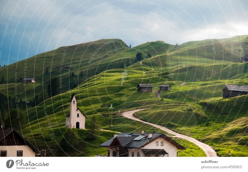 Untermieter | mit Heiligenschein Umwelt Natur Landschaft Sonnenlicht Sommer Klima Wetter Schönes Wetter schlechtes Wetter Regen Gewitter Pflanze Baum Gras Wiese