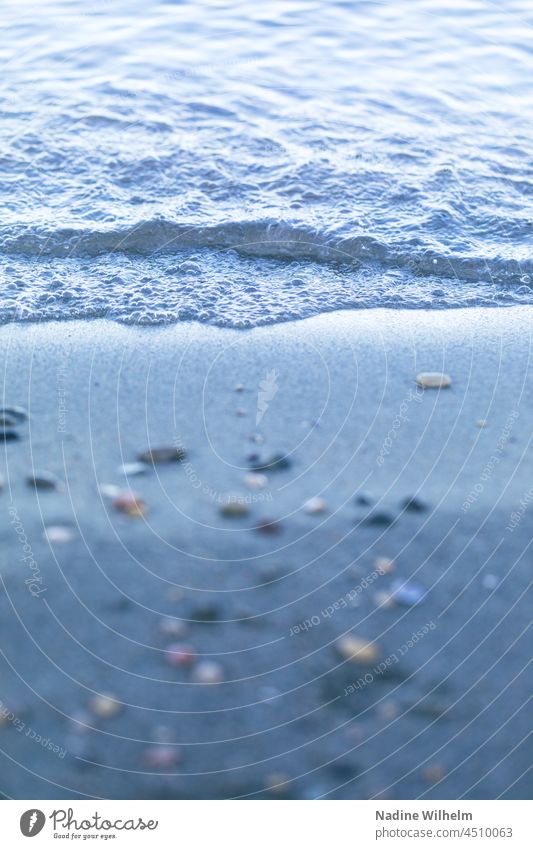 Welle am Strand Wellen Wellengang Wasser Meer Wellenform Wellenschlag Ozean Meerwasser Wellenbruch blau Wellenlinie Küste Wasseroberfläche Wasserfarbe ozeanisch