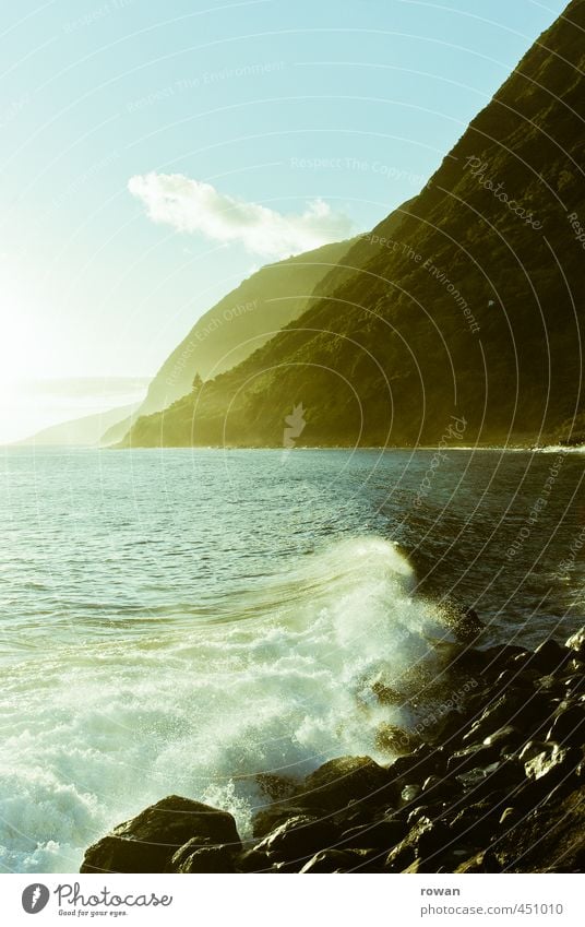 küste Umwelt Natur Landschaft Wasser Sommer Wald Hügel Felsen Berge u. Gebirge Wellen Küste Strand Bucht Fjord schön Wärme Idylle Stein Brandung Meer Azoren