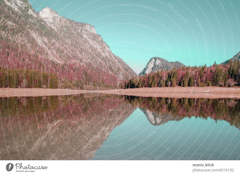 Spiegelung, See im Herbst Spiegelung im Wasser Reflexion & Spiegelung Menschenleer Himmel ruhig Seeufer Tag Außenaufnahme Natur Idylle Wald Erholung