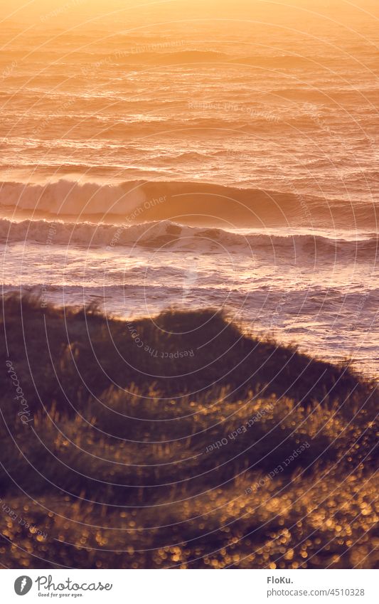 Wellen an der Nordseeküste im Abendlicht Wasser Meer Strand Küste Natur Ferien & Urlaub & Reisen Sand Landschaft Außenaufnahme Tourismus Wolken Erholung blau