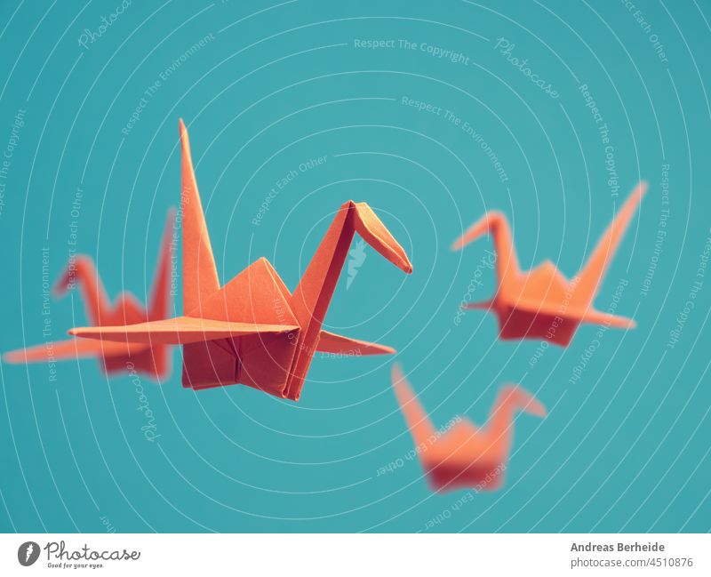 Vier Origami-Kraniche auf blauem Hintergrund orange Business Glück Farbe Transformation Konkurrenz Konzept Textfreiraum kreativ Kreativität Verschiedenheit