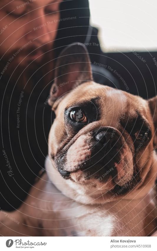 so ein trauriges Gesicht französische Bulldogge Hund Tier Porträt eines Hundes starren Blick braunes Auge Haustier Familie Farbfoto Tierporträt niedlich