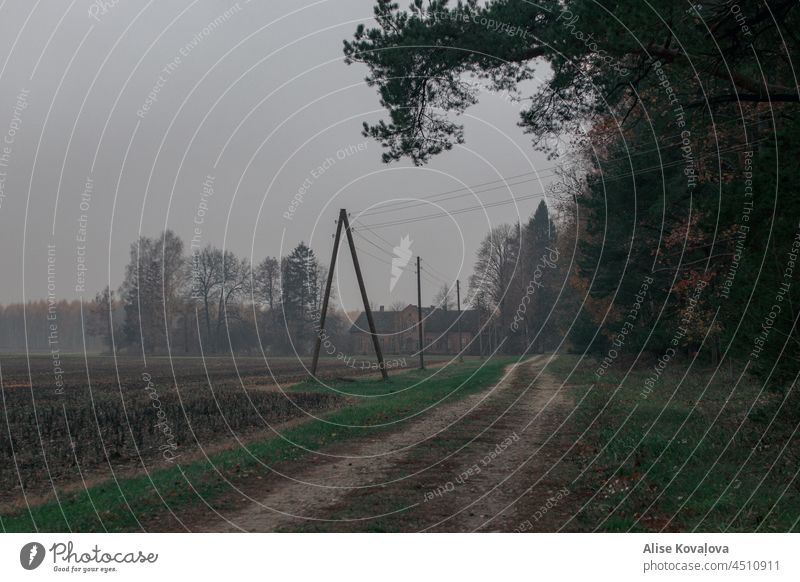 nebliger Herbstabend Landschaft Nebel elektrische Leitungen verlassenes Gebäude Stromleitung Wald durch den Wald Verlassene Schule im Wald Abend Regen Grün