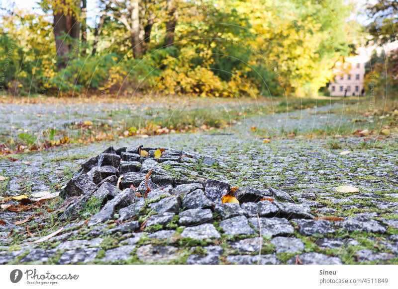 Stolperfalle aus Kopfsteinpflaster Kopfsteinpflasterstraße Fußweg Bodenwelle Spaziergang Spazierweg spazieren spazierengehen Spazieren gehen