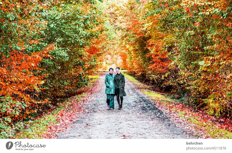 von hinten wie von vorn... geschwisterliebe Geschwister Blätter Herbstlandschaft Herbstwald Zuneigung Vertrauen Idylle nähe Frauen Liebe Schwestern