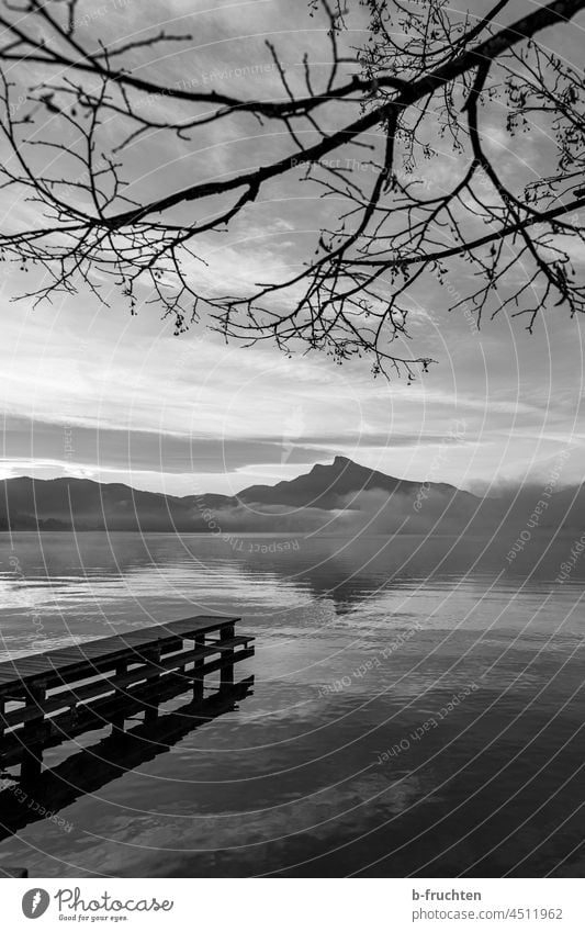 See  mit Holzsteg; Blick zu den Bergen, Äste eine Baumes ohne Blätter Seeblick Schwarzweißfoto Mondsee Oberösterreich Salzkammergut Landschaft Berge u. Gebirge