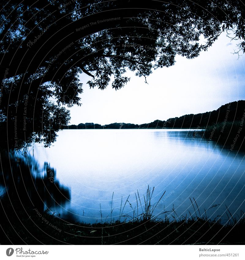 Abendstimmung am See Sommer Natur Landschaft Wasser Wolken Wetter Wärme Baum Gras Blatt Wald Küste Erholung blau schwarz weiß Gefühle Stimmung Zufriedenheit