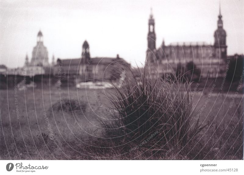 iGras Einsamkeit Grasbüschel oben Brühlsche Terrasse Dresden Architektur Elbwiese mit Blick die Frauenkirche und