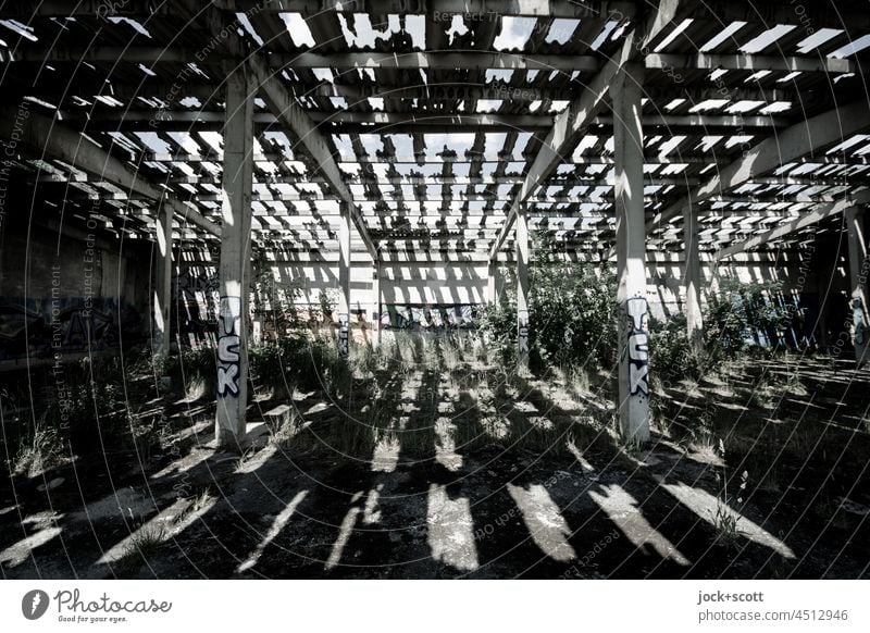 lost places vs. Lost Land Love| Sonnenlicht trifft auf Schatten durch unzählige Löcher im Dach Architektur Ruine Endzeitstimmung Zahn der Zeit Silhouette