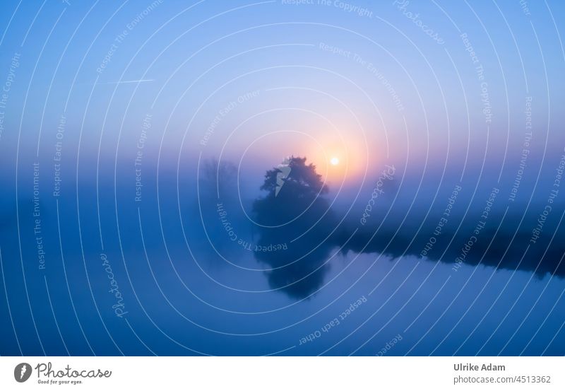 UT Teufelsmoor l Blaue Stunde Bremen Osterholz-Scharmbeck Worpswede Hamme Fluss Nebel Sonnenaufgang Natur Außenaufnahme Landschaft Menschenleer Sonnenlicht