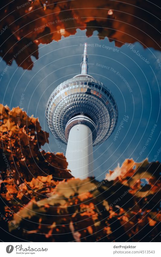 Vom Herbstlaub gerahmter Berliner Fernsehturm Kontrast Starke Tiefenschärfe Tag Textfreiraum unten Textfreiraum oben Textfreiraum Mitte Textfreiraum rechts