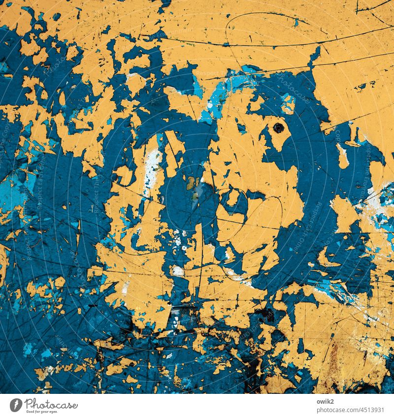 Verwildert Oberflächenstruktur Abnutzung Kunst Teile u. Stücke Schaden abstrakt Spuren verfallen Zahn der Zeit Zerstörung Verfall schäbig Farbfoto trashig