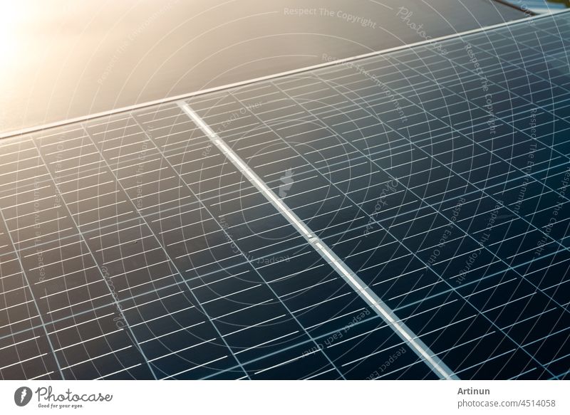 Sonnenkollektoren oder Photovoltaikmodule. Sonnenenergie für grüne Energie. Nachhaltige Ressourcen. Erneuerbare Energie. Saubere Technologie. Solarzellenpaneele nutzen das Sonnenlicht als Quelle für die Stromerzeugung.