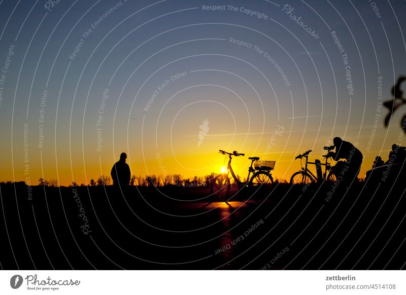 Warten in Linum abend brandenburg dorf dunkel dämmerung gänse himmel kraniche landschaft landwirtschaft linum ländlich natur naturschutz schwarm see straße