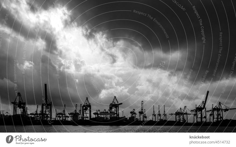 hh hafen Hafen Hamburger Hafen Elbe Farbfoto Fluss Schifffahrt Himmel düster Kran kräne Containerterminal Hafenkran Güterverkehr & Logistik Wirtschaft