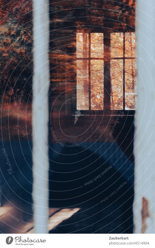 Blick in verlassenen Raum mit Fenster, Spiegelung und Herbstlaub Licht Laub Tür golden herbstlich Herbstfärbung Melancholie melancholisch Erinnerung