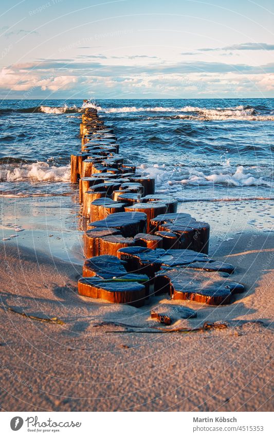 Buhnen am Stand von Zingst auf Fischland Darß. Die Buhnen ragen über das Meer in den Horizont hinein. reisen urlaub wasser meer ostsee perspektive sonnig