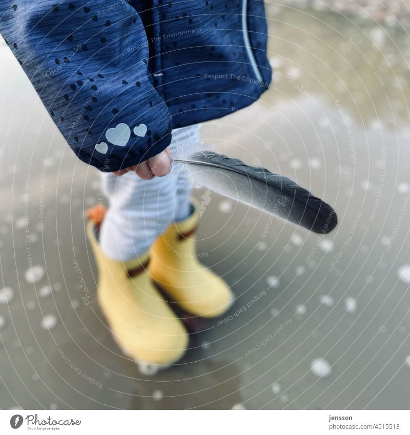 Kleinkind mit gelben Gummistiefeln hält eine Feder in der Hand Pfütze Regen herbstlich Kindheit kindlich Kinderhand draußen Regenjacke regnerisch