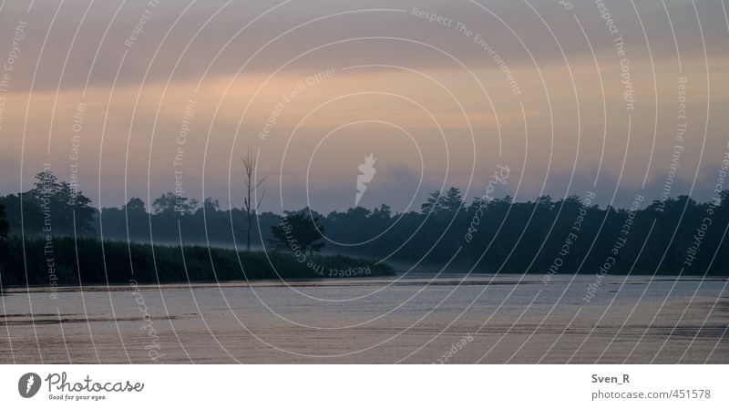 Kinabatangan River Umwelt Landschaft Himmel Sonnenaufgang Sonnenuntergang Schönes Wetter Urwald Fluss Idylle Natur Farbfoto Gedeckte Farben Außenaufnahme