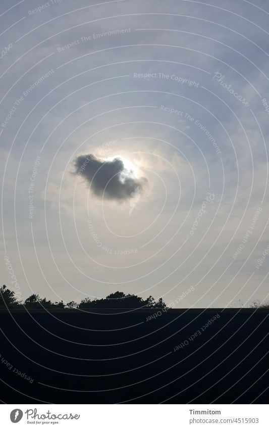 Schaue zum Himmel. Scheint etwas Besonderes. Träume leicht lächelnd. Wolken Sonne Sonnenlicht Formation blau weiß hell dunkel Vordergrund Gebüsch Dänemark