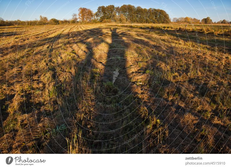 Feld, Acker, Weide, Wiese abend baum brandenburg dorf dunkel dämmerung himmel landschaft landwirtschaft linum ländlich natur naturschutz feld weide acker wiese