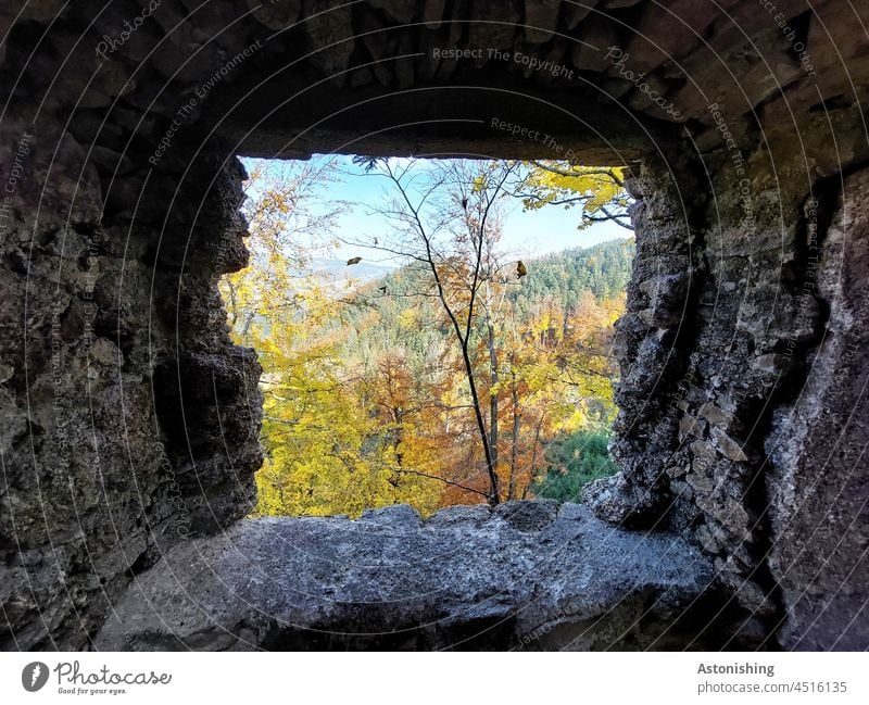 Fenster in den Herbst Ruine Loch Wetter Wald Natur Landschaft Prandegg rot gelb Himmel Österreich Stein Felsen grau alt historisch Burgruine Baum Außenaufnahme