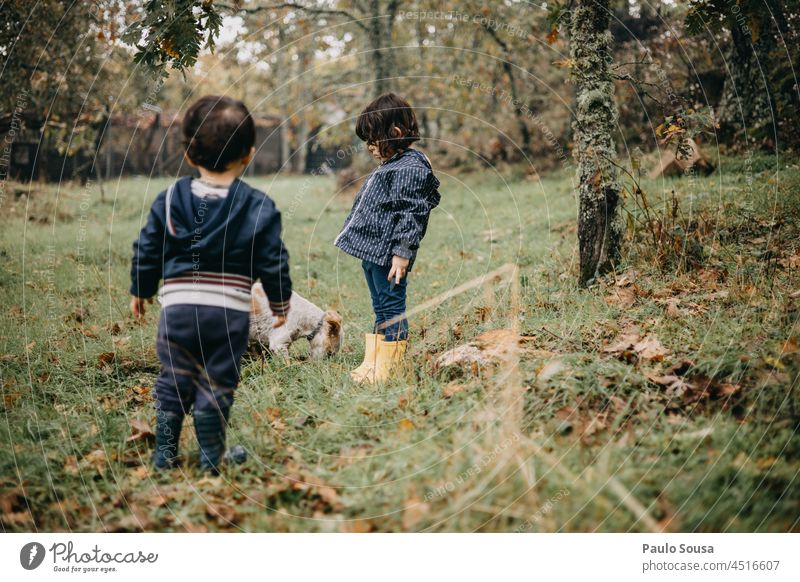 Bruder und Schwester spielen mit Hund Geschwister Familie & Verwandtschaft Kind Kindheit 1-3 Jahre 3-8 Jahre Zwei Personen authentisch Zusammensein