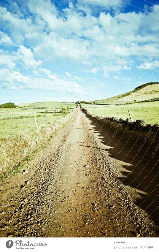 weg Umwelt Natur Landschaft Schönes Wetter Wiese Feld Verkehr Verkehrswege Autofahren Straße Wege & Pfade frei frisch Unendlichkeit Ziel Zentralperspektive