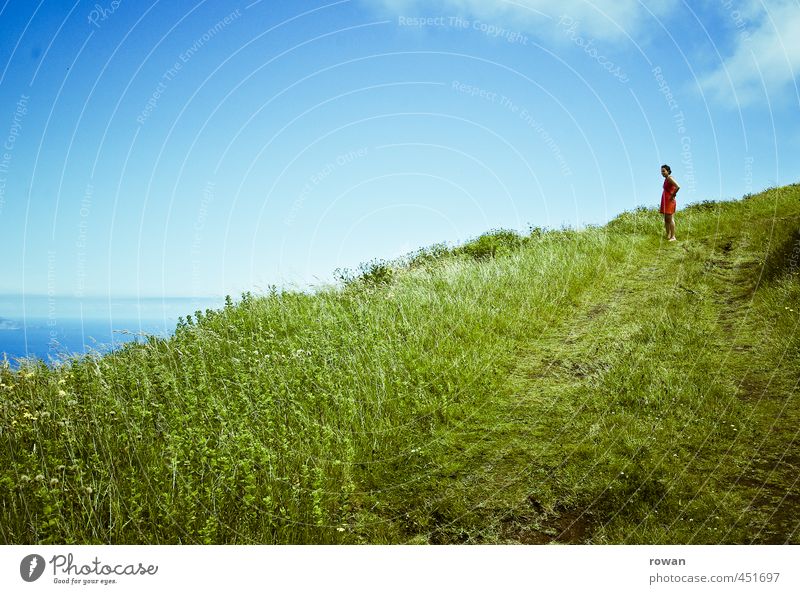 grünblau Mensch feminin Junge Frau Jugendliche Erwachsene 1 Umwelt Natur Landschaft Himmel Schönes Wetter Wiese Feld Berge u. Gebirge Meer Spaziergang Fußweg