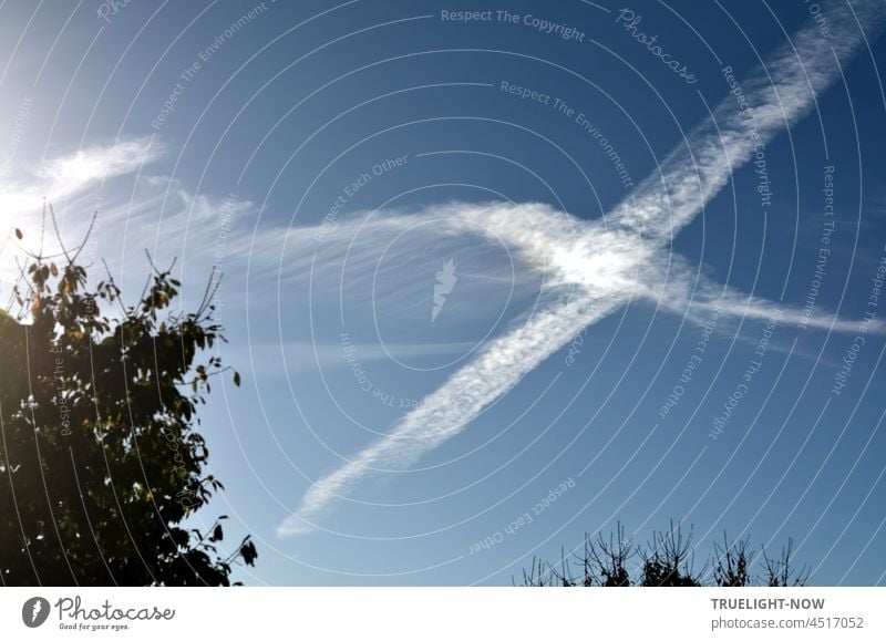 Ein Kreuzchen machen / An der richtigen Stelle / Am blauen Himmel? Kondensstreifen weiß kreuzweise über Kreuz gekreuzt Spuren Herbst Baumspitzen Baumkrone