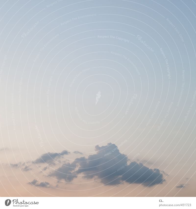 wolke Natur Himmel Wolken Sommer Schönes Wetter Unendlichkeit blau ruhig Leichtigkeit himmelblau leicht luftig sanft Gedeckte Farben Außenaufnahme Menschenleer