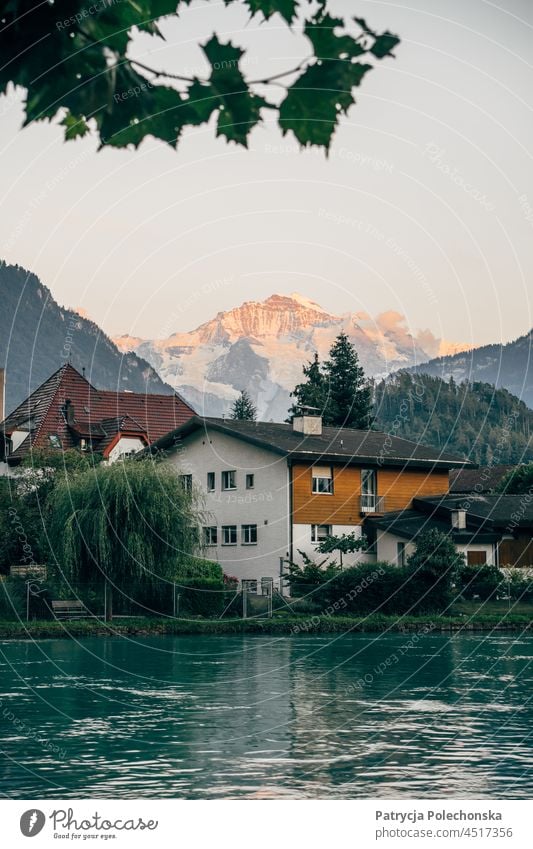 Jungfrau Berggipfel in den Alpen in der Schweiz von Interlaken aus gesehen Jungfrau (Berg) Berge u. Gebirge Gipfel interlaken Schweizer Sonnenuntergang