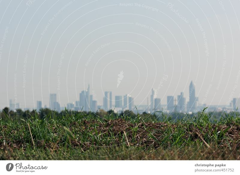 Im Grünen Wirtschaft Kapitalwirtschaft Himmel Wolkenloser Himmel Wiese Feld Frankfurt am Main Stadtrand Skyline Hochhaus Bankgebäude im grünen speckgürtel