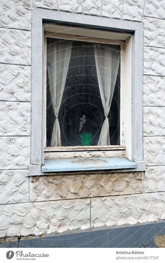 fenster mit vorhängen und kunstpflanze gardinen fensterdeko dekoration wohnen leben zuhause einblick ausblick altbau fassade gebäude architektur schmutzig