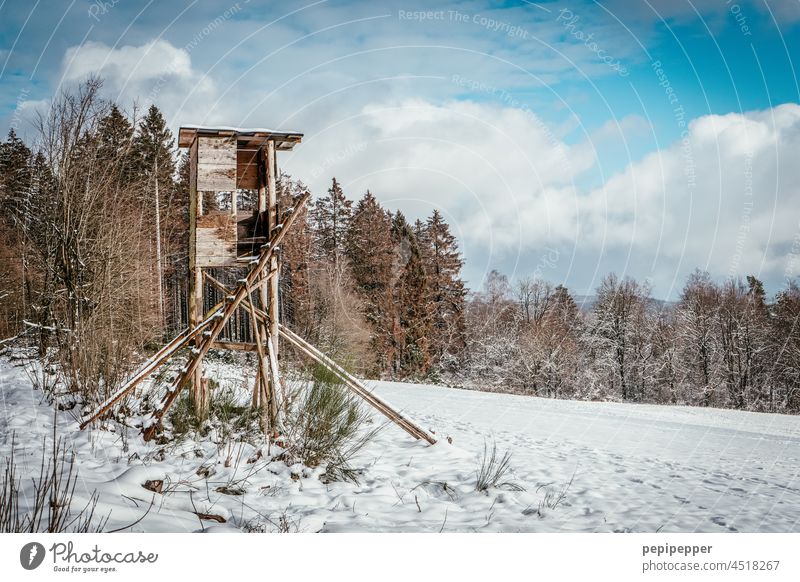 Hochsitz im Winter mit Schneelandschaft Winterstimmung Wintertag Winterwald winterlich winterliche Ruhe winterliche Kälte winterliche Stille kalt Wald