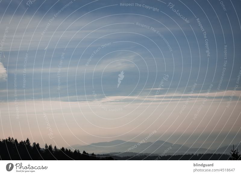 Morgendliche Weitsicht Berge Bäume Himmel Mittelgebirge Gebirge Panorama Landschaft Wolken Nebel Bodennebel Wald Berge u. Gebirge Außenaufnahme Menschenleer