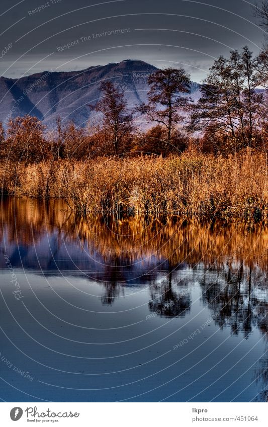 abstrakter Herbstsee Erholung Ferien & Urlaub & Reisen Ausflug Berge u. Gebirge Natur Himmel Wolken Baum Blatt Hügel See Linie dreckig blau braun gelb grau rot