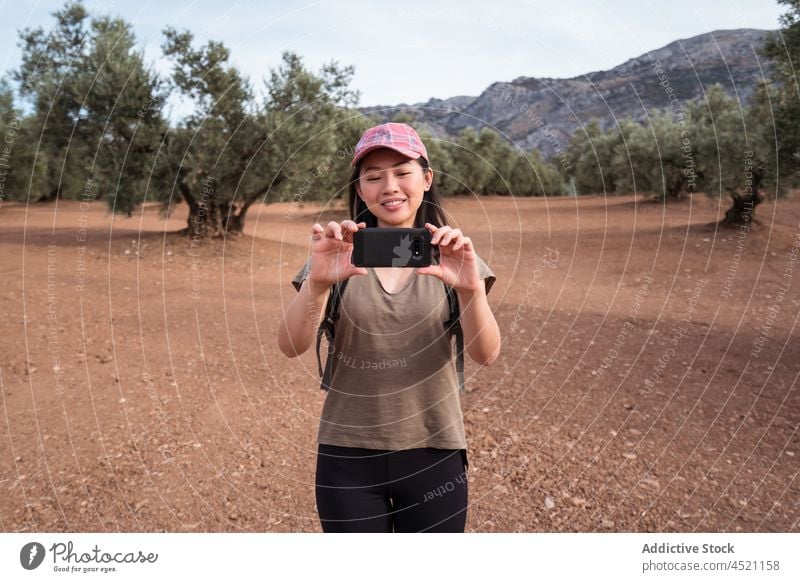 Frau nimmt ein Foto mit Smartphone auf fotografieren oliv Baum Hain Ast einfangen Landschaft Fotografie Apparatur Mobile Gerät Sommer grün Telefon