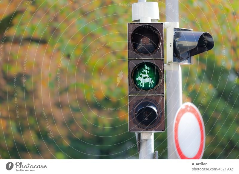 Ampel steht auf grün mit Hahn, Katze, Hund und Esel, die Bremer Stadtmusikanten ampelmännchen Ampelmast Ampelfarben Ampelphase Ampelanlage Ampeln Verkehr