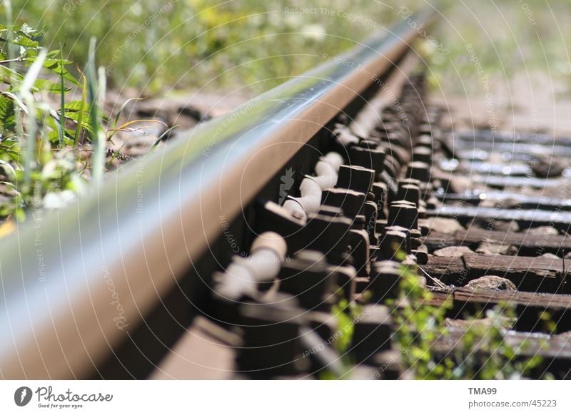 endlos Gleise Unendlichkeit Gras Verkehr Eisenbahn DB Ferne Metall