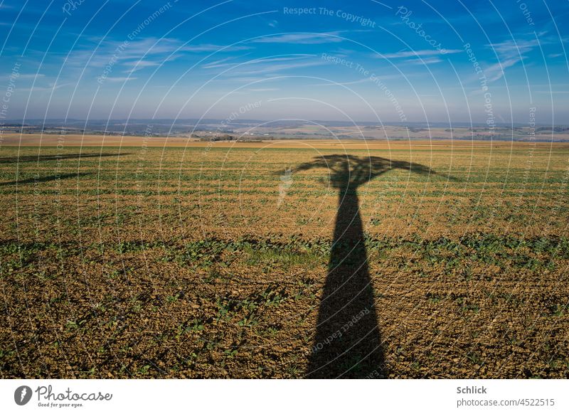 Langer Schatten eines sehr alten Birnbaumes und Landschaft bei Coume in Lothringen Baum Schlagschatten Herbst Feld Acker lang Weitwinkel Häuser Dörfer Himmel