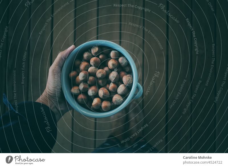 Frau hält hellblaue Schale mit Haselnüssen in der Hand Haselnuss Lebensmittel Farbfoto Ernährung Vegetarische Ernährung braun Nahaufnahme Nuss Menschenleer