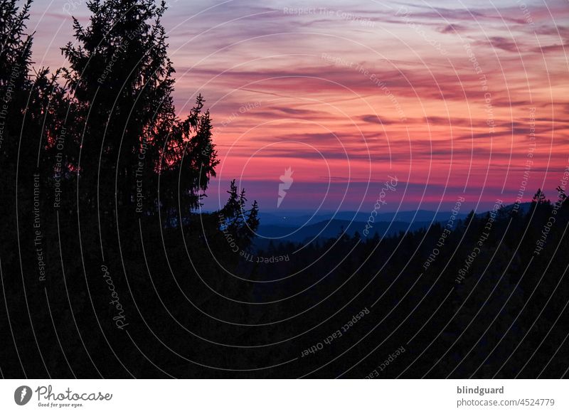 United colors of the sunset Wald Tanne Bayerischer Wald Sonnenuntergang farbenprächtig bunt Sonnenuntergangshimmel Sonnenuntergangsstimmung Wolken Himmel