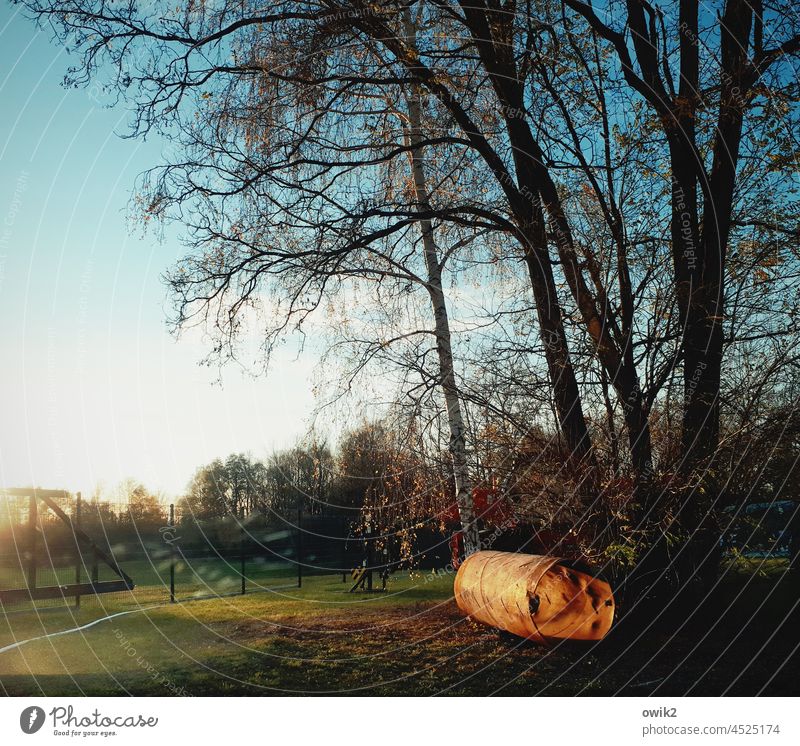 Von der Rolle Zylinder Röhre Abendlicht Sonnenlicht Sonnenuntergang liegen achtlos vergessen abgelegt einsam Baum Gelände Zaun Himmel Zweige Äste leuchtend