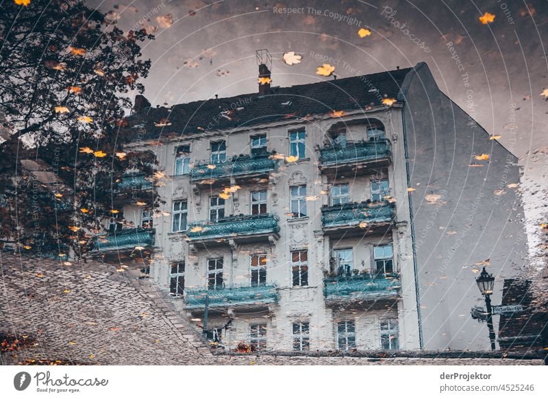 Historisches Haus spiegelt sich in einer Pfütze metropole Freiheit Großstadt Berlin Zentrum Panorama (Aussicht) Sonnenstrahlen urban Schönes Wetter Stadtleben