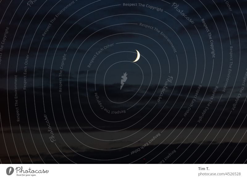 Der Mond über Berlin Herbst herbstlich Farbfoto Außenaufnahme Himmel Licht Hauptstadt Menschenleer blau Schönes Wetter Natur Wolken Nacht Umwelt