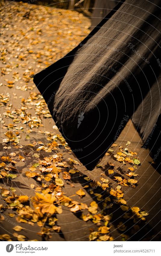 Photocasler Treffen Berlin | Bühnenlicht und Herbstwind herbstlich Laub Wind windig Sonnenlicht Sonnenschein Schatten Schattenspiel Freilichtbühne schwarz