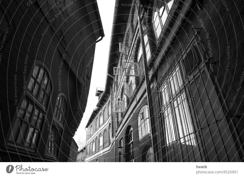 Blick nach oben in einer schmalen Gasse Häuser Schwarzweißfoto urban menschenleer Hausfassade Fenster