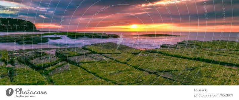 Sonnenaufgang am Strand von Turimetta Landschaft Wasser Wolken Sonnenuntergang Frühling Sommer Herbst Winter Wetter Schönes Wetter Moos Felsen Wellen Küste Meer